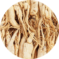 GINSENG