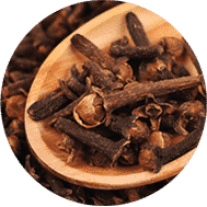 CLOVE OIL