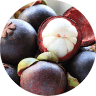 MANGOSTEEN PEEL
