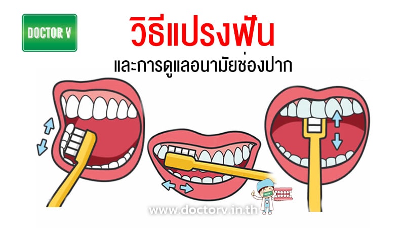วิธี แปรง ฟัน ที่ ถูก ต้อง