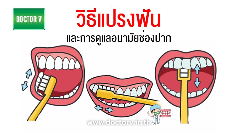 วิธีแปรงฟัน